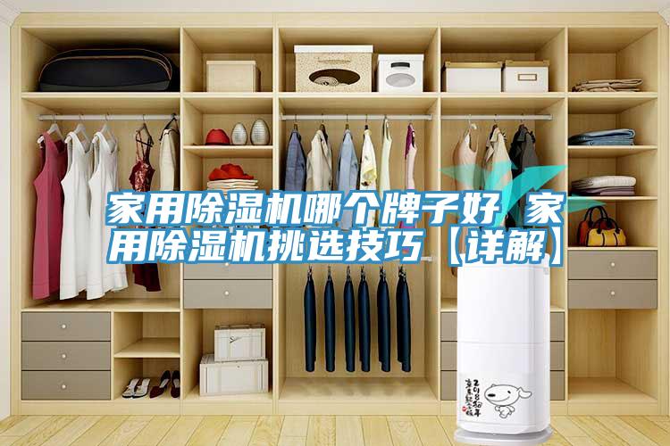 家用猫咪成人官网哪个牌子好 家用猫咪成人官网挑选技巧【详解】