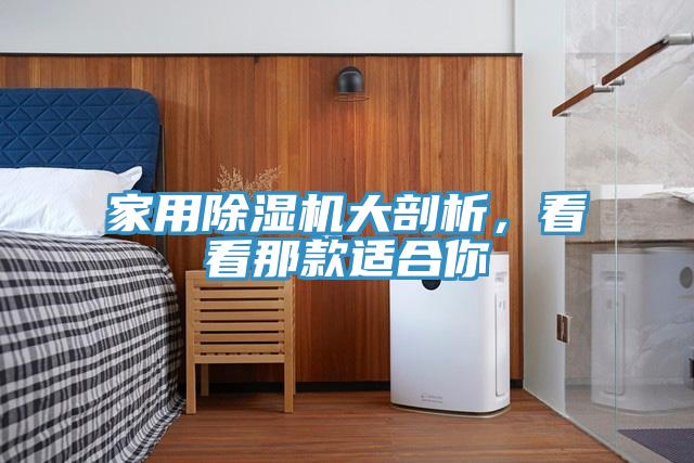 家用猫咪成人官网大剖析，看看那款适合你