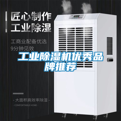 工业猫咪成人官网优秀品牌推荐
