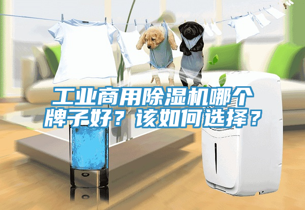 工业商用猫咪成人官网哪个牌子好？该如何选择？