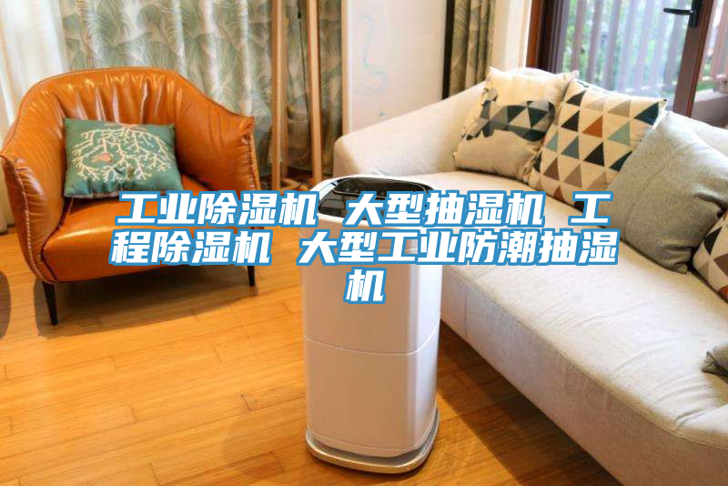 工业猫咪成人官网 大型抽湿机 工程猫咪成人官网 大型工业防潮抽湿机