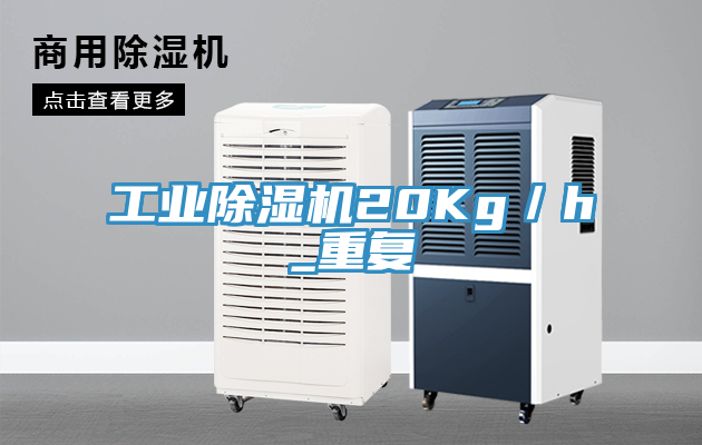 工业猫咪成人官网20Kg／h_重复