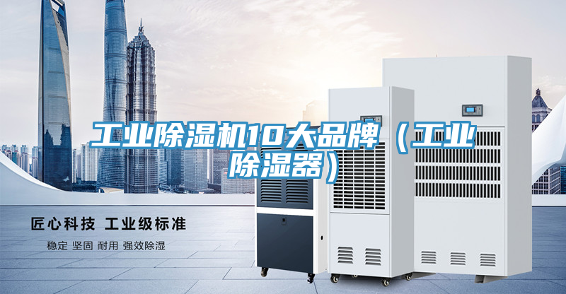 工业猫咪成人官网10大品牌（工业除湿器）