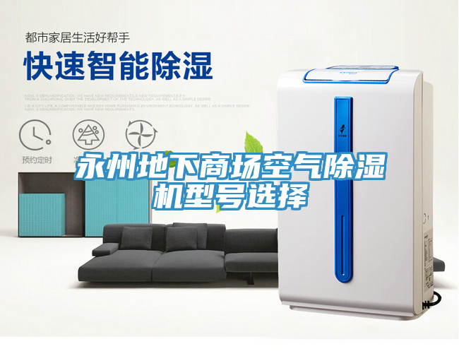 永州地下商场空气猫咪成人官网型号选择