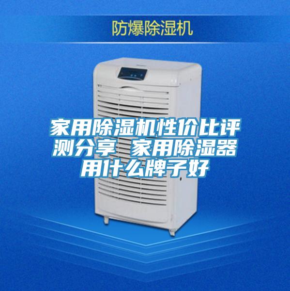 家用猫咪成人官网性价比评测分享 家用除湿器用什么牌子好