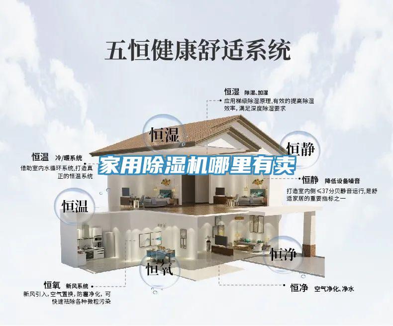 家用猫咪成人官网哪里有卖