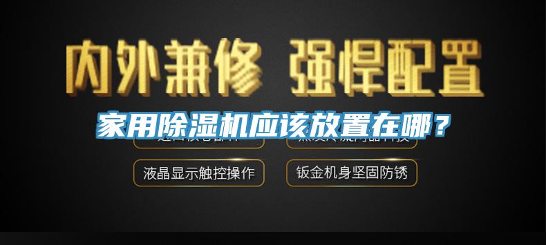 家用猫咪成人官网应该放置在哪？