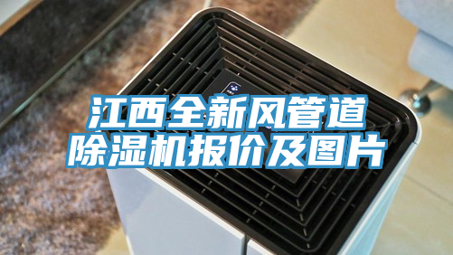 江西全新风管道猫咪成人官网报价及图片