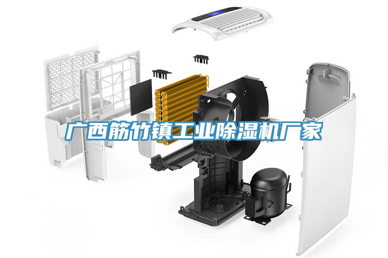广西筋竹镇工业猫咪成人官网厂家