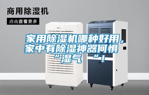 家用猫咪成人官网哪种好用，家中有除湿神器何惧 “湿气 “！