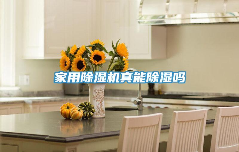 家用猫咪成人官网真能除湿吗