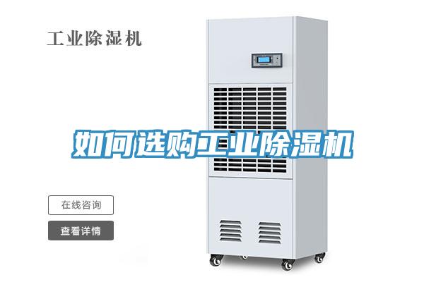 如何选购工业猫咪成人官网
