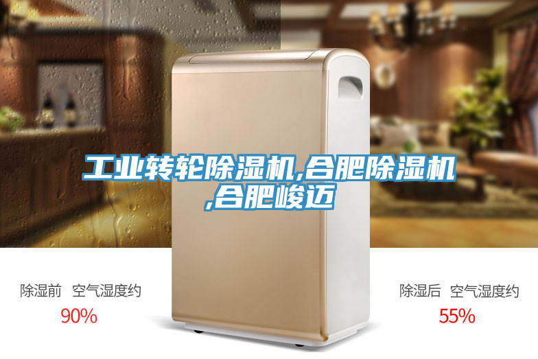 工业转轮猫咪成人官网,合肥猫咪成人官网,合肥峻迈