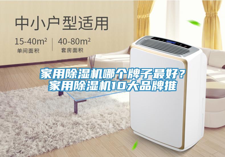 家用猫咪成人官网哪个牌子最好？家用猫咪成人官网10大品牌推