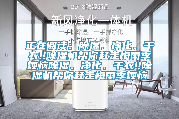 正在阅读：除湿、净化、干衣!!猫咪成人官网帮你赶走梅雨季烦恼除湿、净化、干衣!!猫咪成人官网帮你赶走梅雨季烦恼
