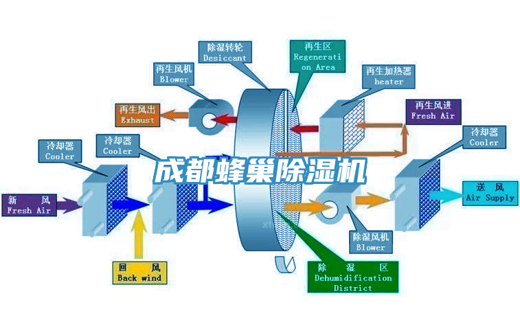 成都蜂巢猫咪成人官网