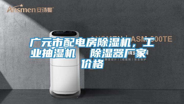 广元市配电房猫咪成人官网，工业抽湿机  除湿器厂家 价格