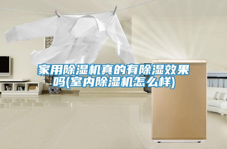 家用猫咪成人官网真的有除湿效果吗(室内猫咪成人官网怎么样)