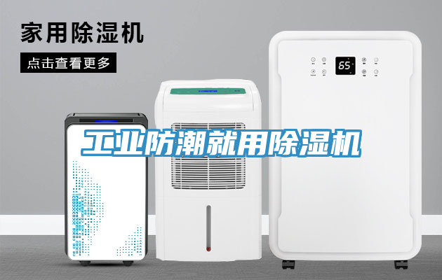 工业防潮就用猫咪成人官网