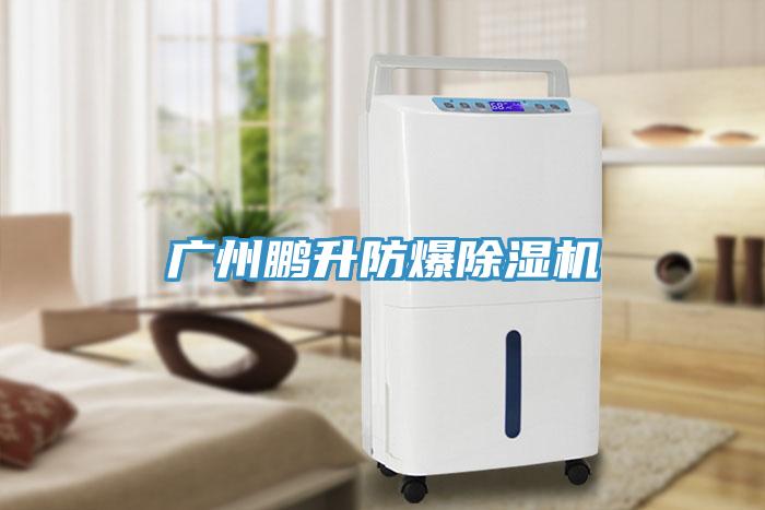 广州鹏升防爆猫咪成人官网