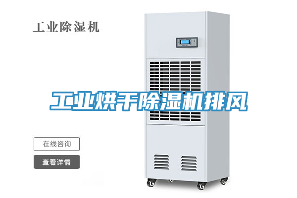 工业烘干猫咪成人官网排风