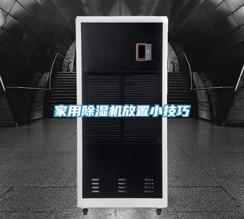 家用猫咪成人官网放置小技巧