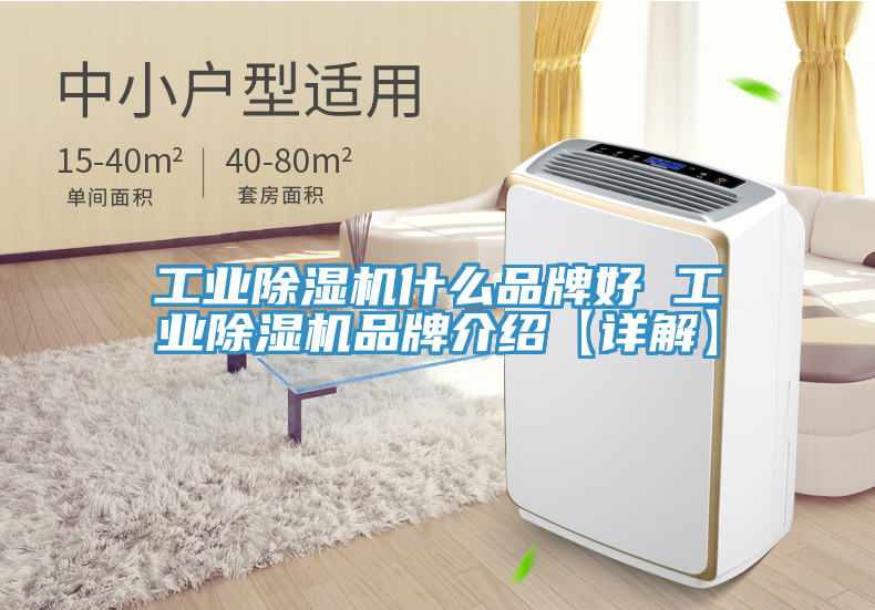 工业猫咪成人官网什么品牌好 工业猫咪成人官网品牌介绍【详解】