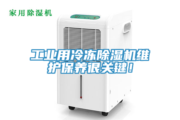 工业用冷冻猫咪成人官网维护保养很关键！