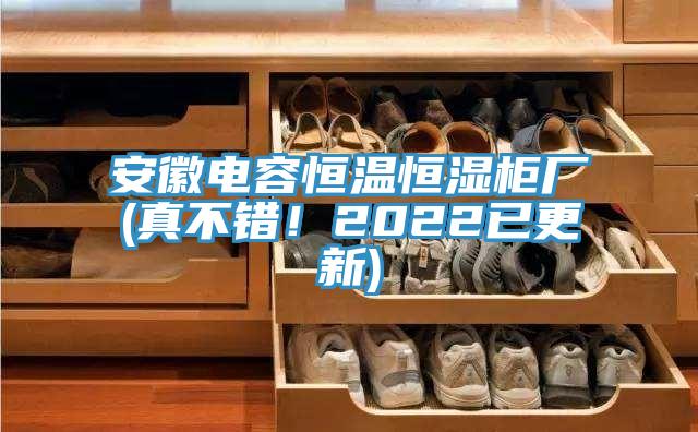 安徽电容恒温恒湿柜厂(真不错！2022已更新)