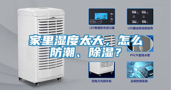 家里湿度太大，怎么防潮、除湿？