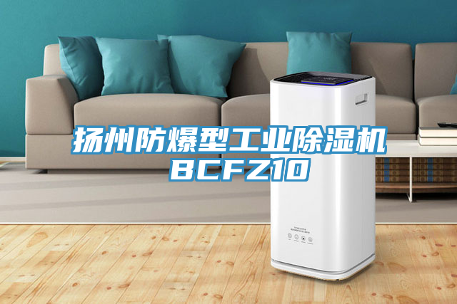 扬州防爆型工业猫咪成人官网 BCFZ10