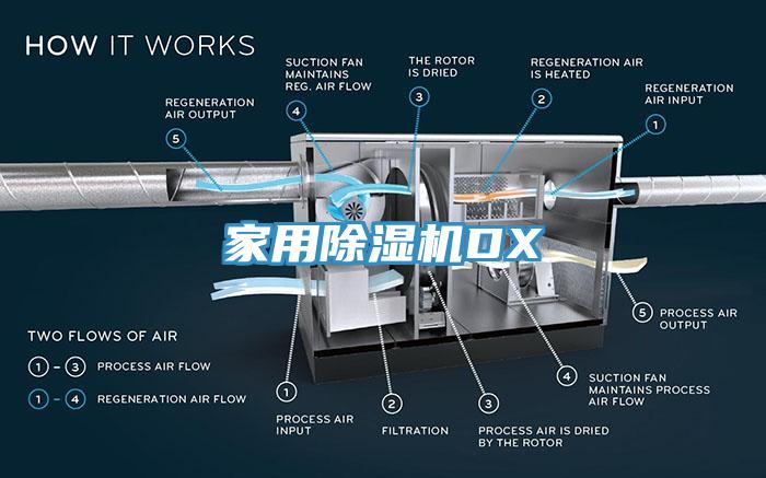 家用猫咪成人官网DX