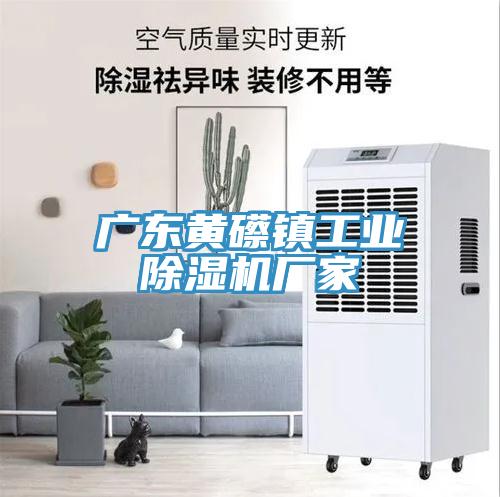 广东黄礤镇工业猫咪成人官网厂家