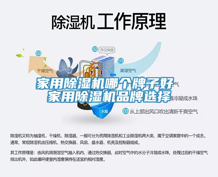 家用猫咪成人官网哪个牌子好 家用猫咪成人官网品牌选择