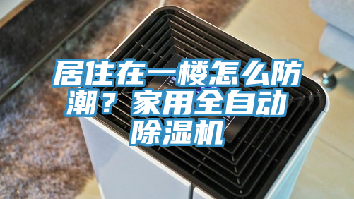 居住在一楼怎么防潮？家用全自动猫咪成人官网