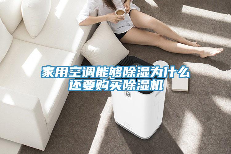 家用空调能够除湿为什么还要购买猫咪成人官网
