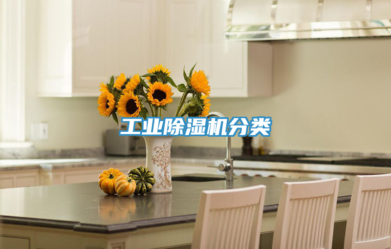工业猫咪成人官网分类