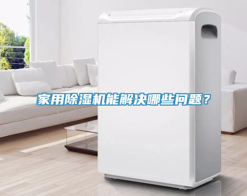家用猫咪成人官网能解决哪些问题？