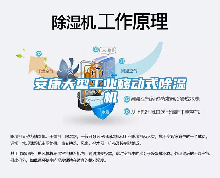 安康大型工业移动式猫咪成人官网