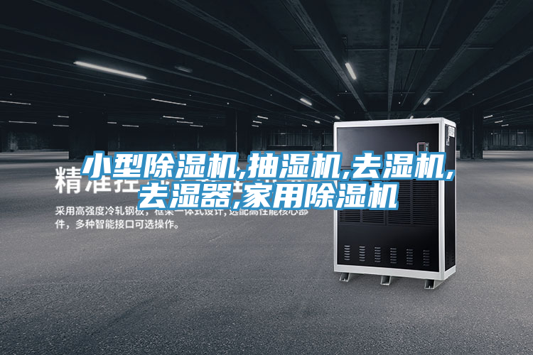 小型猫咪成人官网,抽湿机,去湿机,去湿器,家用猫咪成人官网