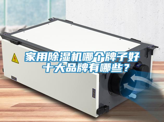 家用猫咪成人官网哪个牌子好 十大品牌有哪些？