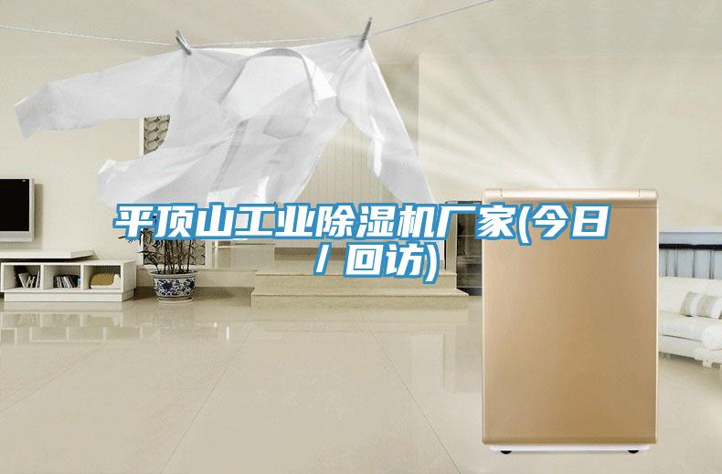 平顶山工业猫咪成人官网厂家(今日／回访)