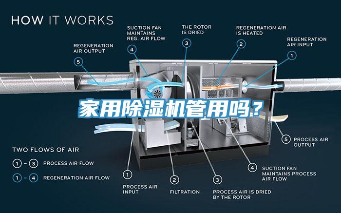 家用猫咪成人官网管用吗？