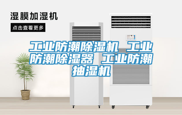 工业防潮猫咪成人官网 工业防潮除湿器 工业防潮抽湿机