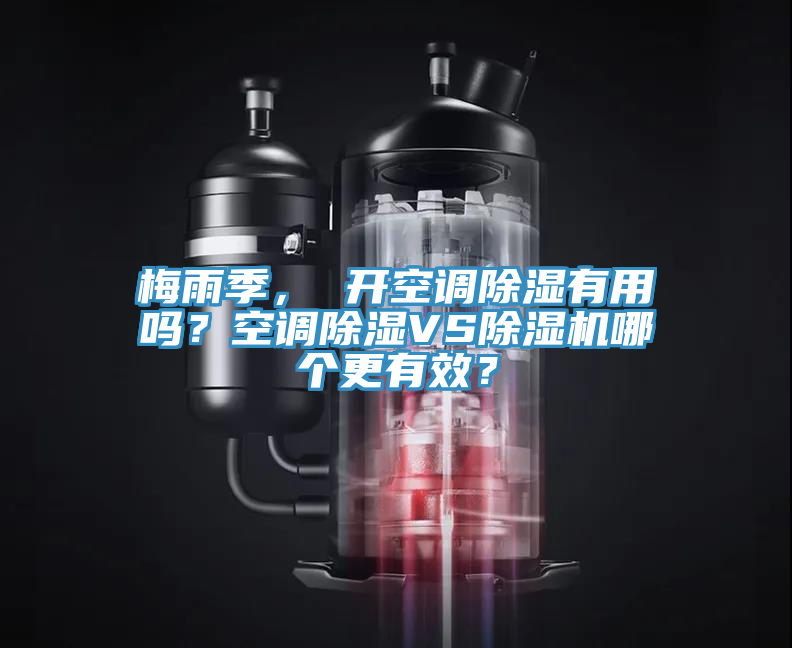 梅雨季， 开空调除湿有用吗？空调除湿VS猫咪成人官网哪个更有效？