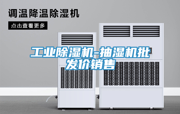 工业猫咪成人官网-抽湿机批发价销售