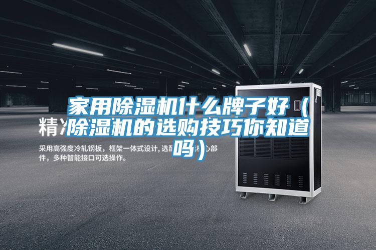 家用猫咪成人官网什么牌子好（猫咪成人官网的选购技巧你知道吗）