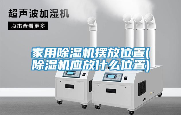 家用猫咪成人官网摆放位置(猫咪成人官网应放什么位置)
