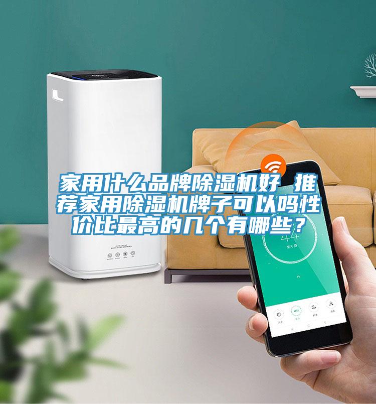 家用什么品牌猫咪成人官网好 推荐家用猫咪成人官网牌子可以吗性价比最高的几个有哪些？