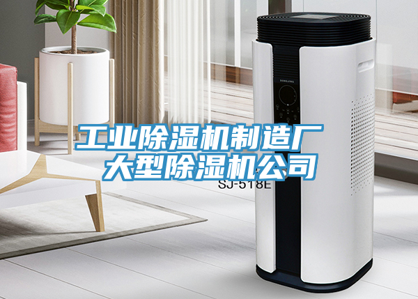 工业猫咪成人官网制造厂 大型猫咪成人官网公司